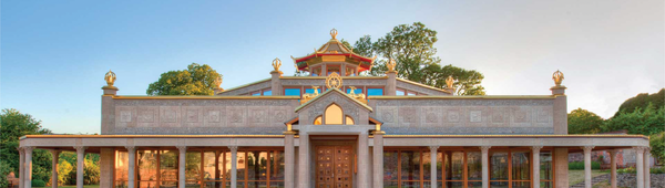 Progress Report on the Mexico Temple Project as of December 19, 2024